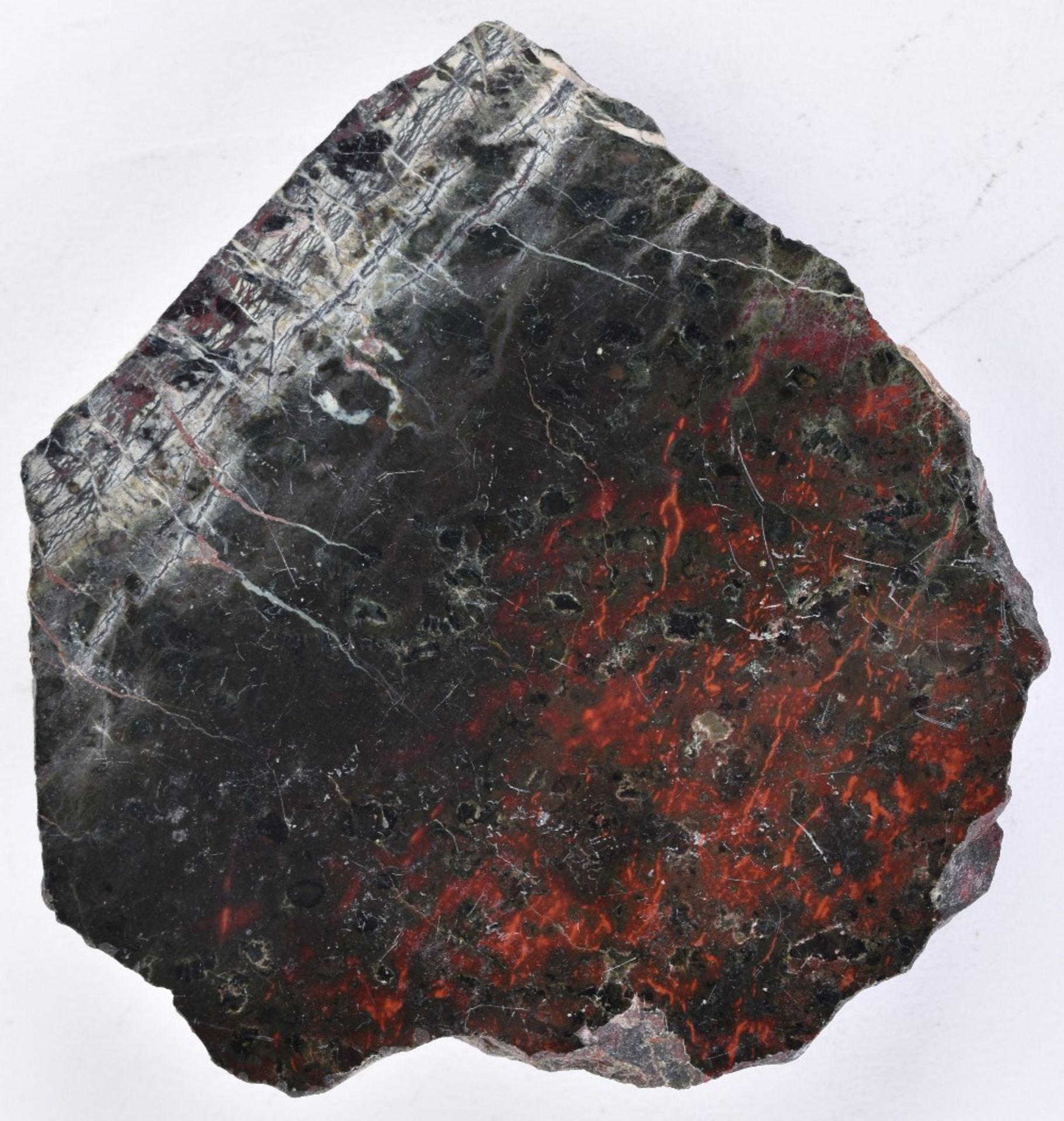 Assorted fossils and polished specimen hardstones - Image 7 of 7
