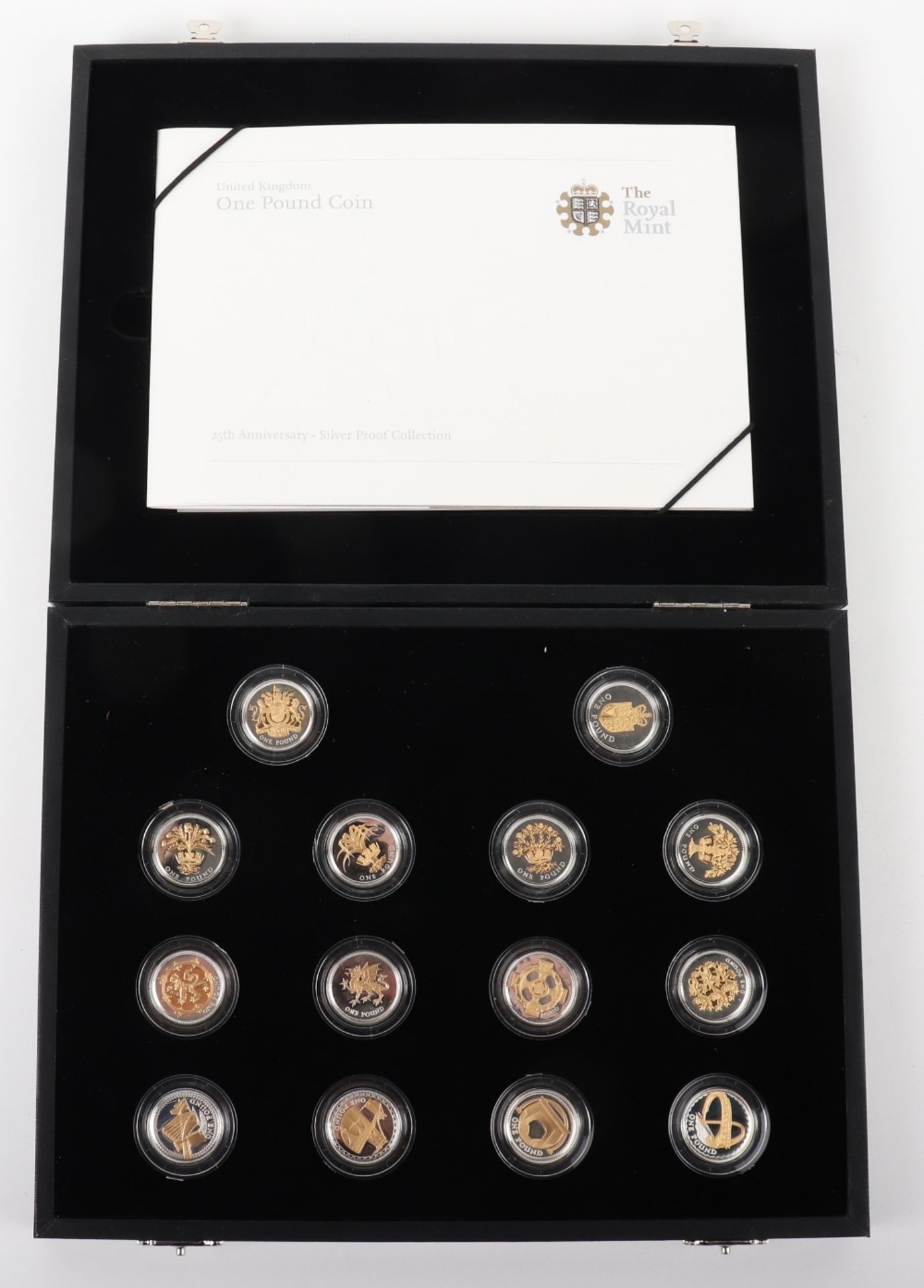 Royal Mint 25th Anniversary One Pound Coin Silver Proof Collection