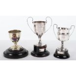 A group of interesting trophy cups relating to H.M.S Iron Duke