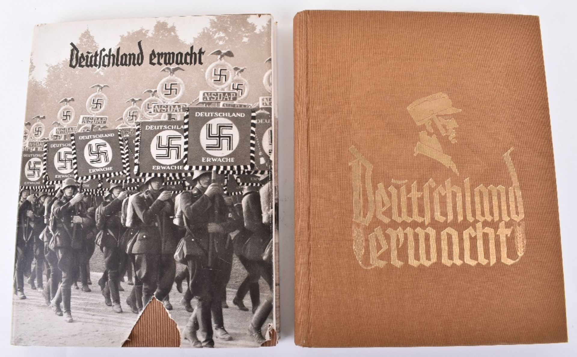 Third Reich Ernst Rohm 1st Edition Deutschland Erwacht Card Collecting Book - Bild 3 aus 7