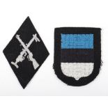 Waffen-SS Estonian Foreign Volunteers Arm Shield