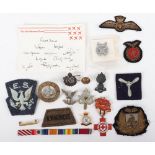 Mixed Military and Civil Badges
