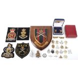 Selection of British Military Badges and Insignia