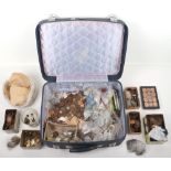 A briefcase of GB and world coinage