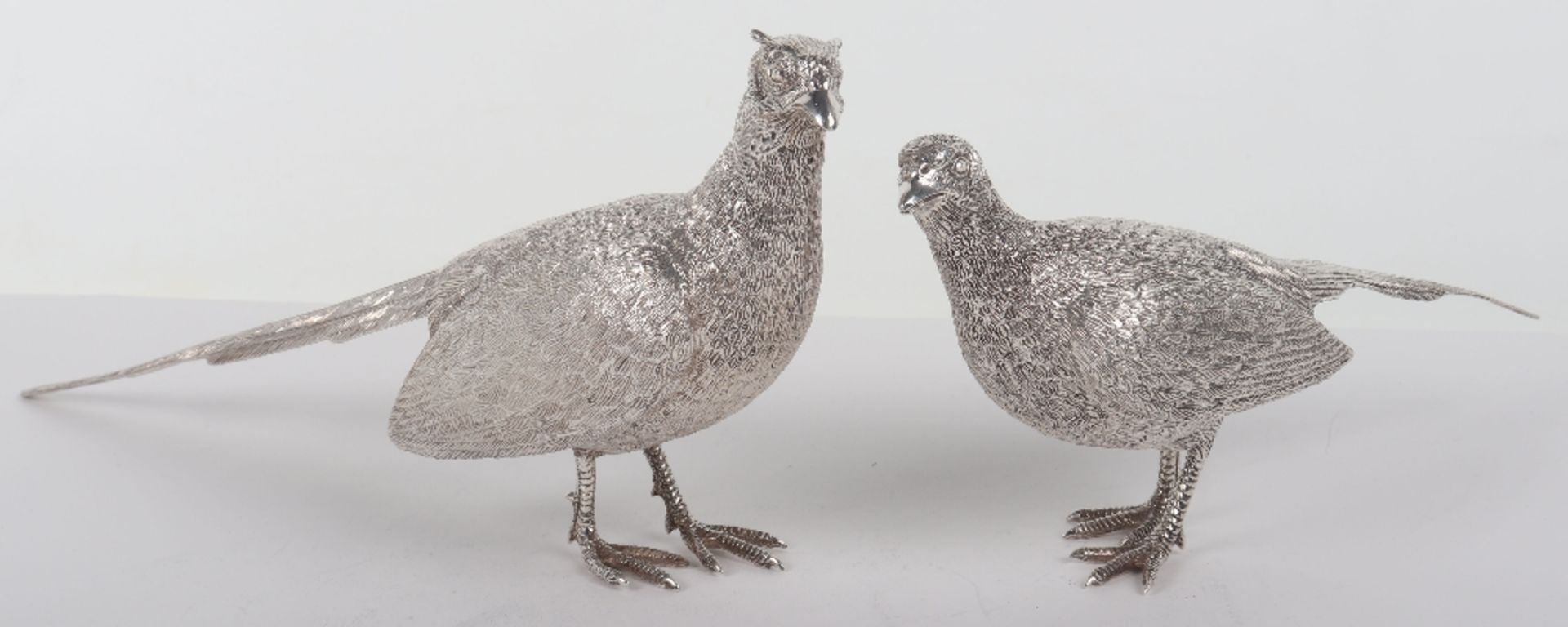 A pair of silver pheasants, modern, male and female
