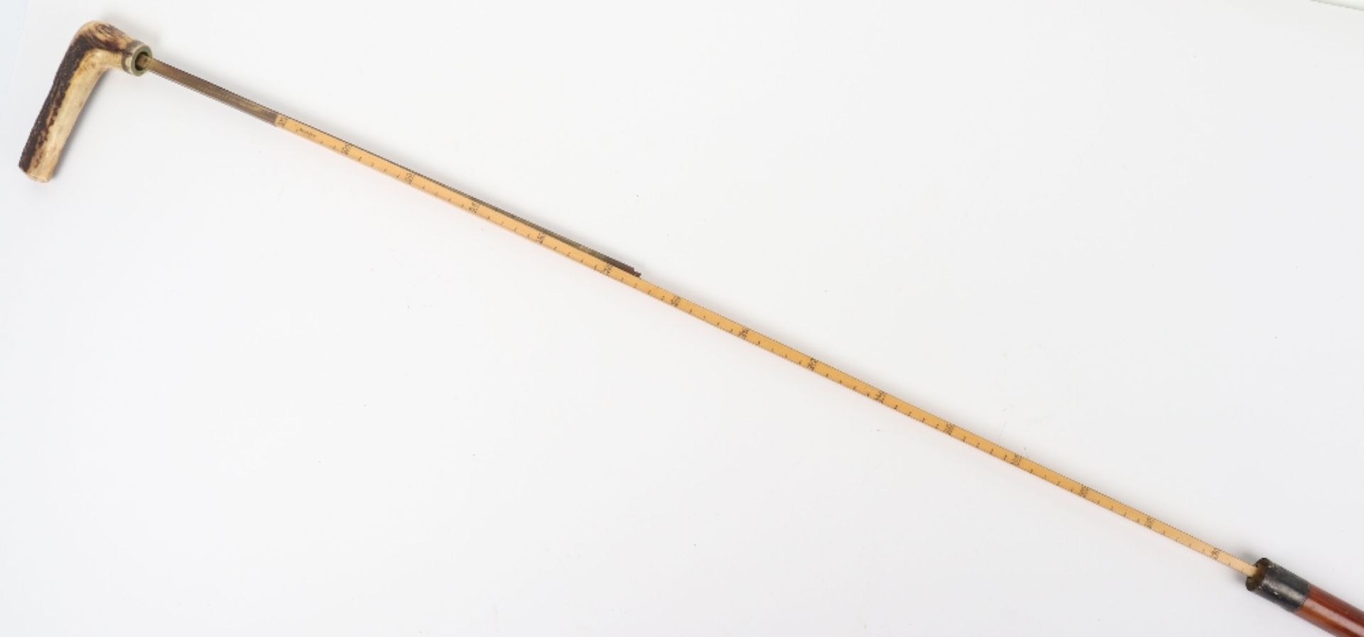 An Edwardian walking stick with spirit level (lacking liquid) and scaled ruler, with horn handle - Image 5 of 14