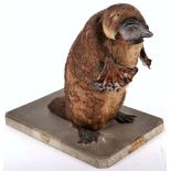 ^Taxidermy: Duck-Billed Platypus (Ornithorhynchus anatinus)