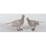 A pair of silver pheasants, modern, male and female