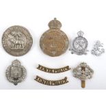 Selection of Colonial Police Badges