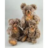 Family of three Steiff mohair Zotty Teddy Bears, 1950s,