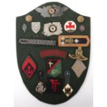 Board of WW2 German and other Badges