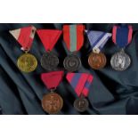 A lot of seven medals