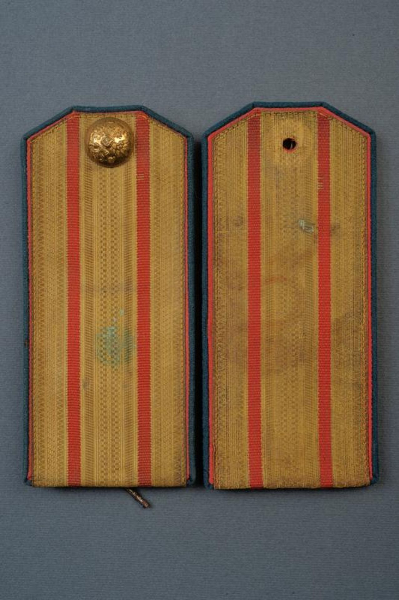 A pair of colonel's shoulder boards of the Lifeguard Jaeger