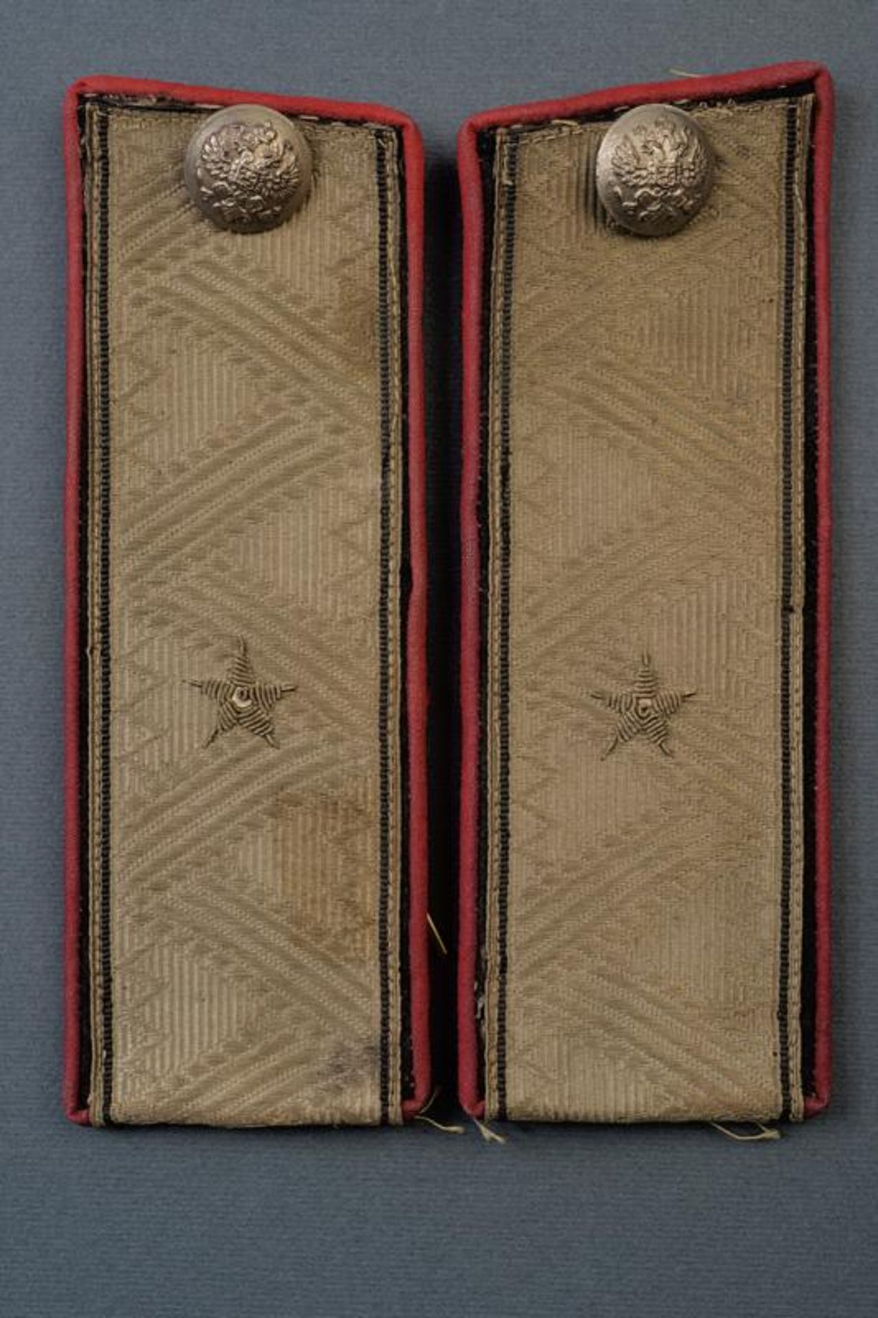 A pair of shoulder boards for the mantel of a pubblic servant