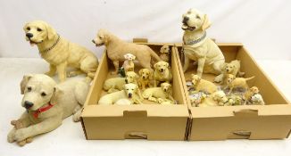 Collection of Labrador Dog models including Sherratt & Simpson,