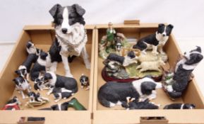 Collection of Border Collie Dog models including The Leonardo and Juliana Collection,
