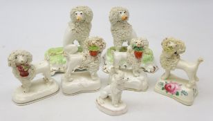 Pair Victorian Staffordshire seated Poodles on shaped base, H12cm,