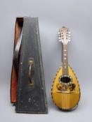 Late 19th/early 20th century Italian lute back mandolin with segmented rosewood back and spruce top,