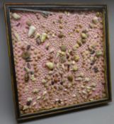 Large display of various Sea shells including Scallop, Conch, Limpet, Cones, Mussel,