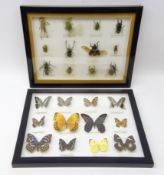Framed set of Butterflies and a set of Insects,