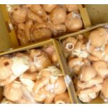 Large quantity of Ninee Artesanals D 'Onil and other baby doll kits & parts in three boxes and qty