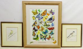 'Butterflies of the World', watercolour signed and dated 2005 by M.