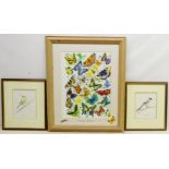 'Butterflies of the World', watercolour signed and dated 2005 by M.