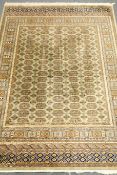 Bokhara green ground rug, geometric pattern field,