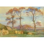 Albert Moulton Foweraker (British 1873-1942): 'Three Cornish Elms - Evening', watercolour signed,