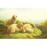 Thomas Heal (19th/20th century): Highland Sheep, oil on canvas signed and dated 1923,