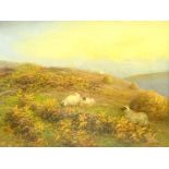 William Henderson of Whitby (British 1844-1904): Moorland Sheep,