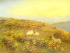 William Henderson of Whitby (British 1844-1904): Moorland Sheep,