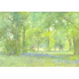 David Jan Curtis (British 1948-): Bluebell Wood, oil on board signed and dated '98,