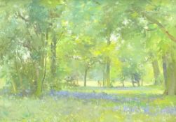 David Jan Curtis (British 1948-): Bluebell Wood, oil on board signed and dated '98,