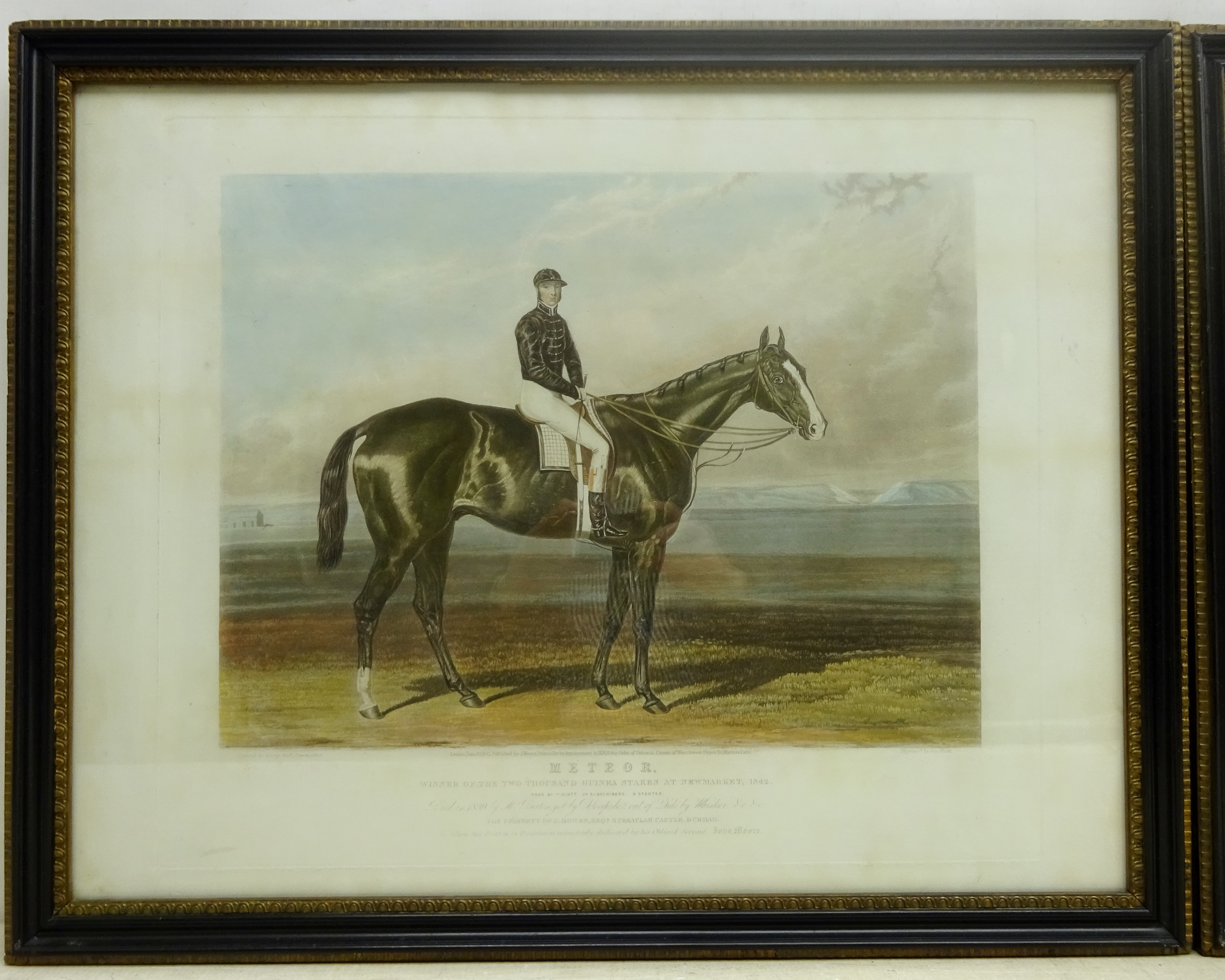 'Industry' and 'Meteor' - Race Horse Portraits, - Image 3 of 5