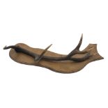 Taxidermy - Red deer antler coat rack, on shaped oak mount, L87cm,