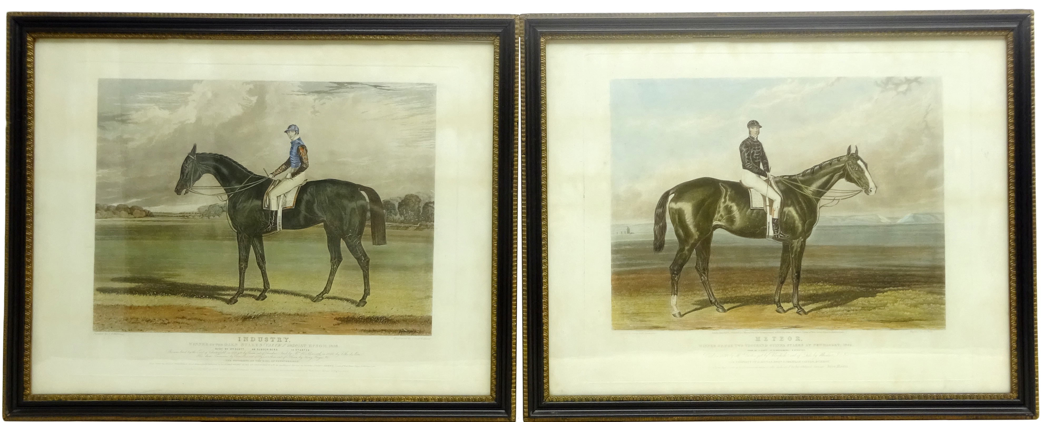 'Industry' and 'Meteor' - Race Horse Portraits,