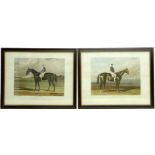 'Industry' and 'Meteor' - Race Horse Portraits,