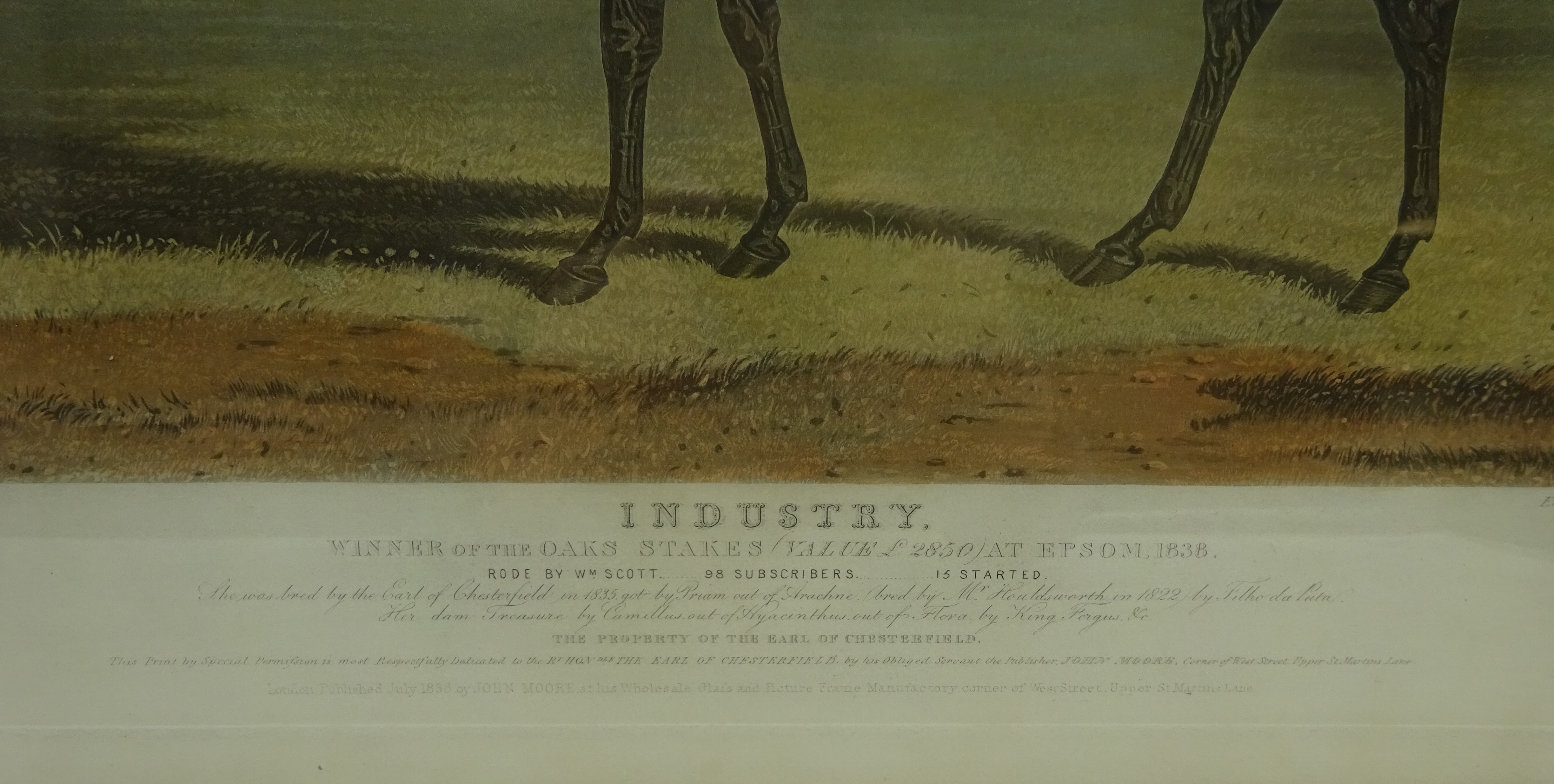 'Industry' and 'Meteor' - Race Horse Portraits, - Image 5 of 5