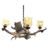 Taxidermy - Fallow deer antler three branch hanging light fitting, with amber glass shades, H35cm,