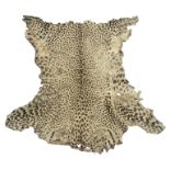 Taxidermy - Early 20th century Leopard skin rug (Panthera Pardus) with tanned back,