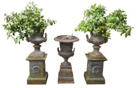 Pair of cast iron two-handled garden urns,