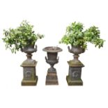 Pair of cast iron two-handled garden urns,