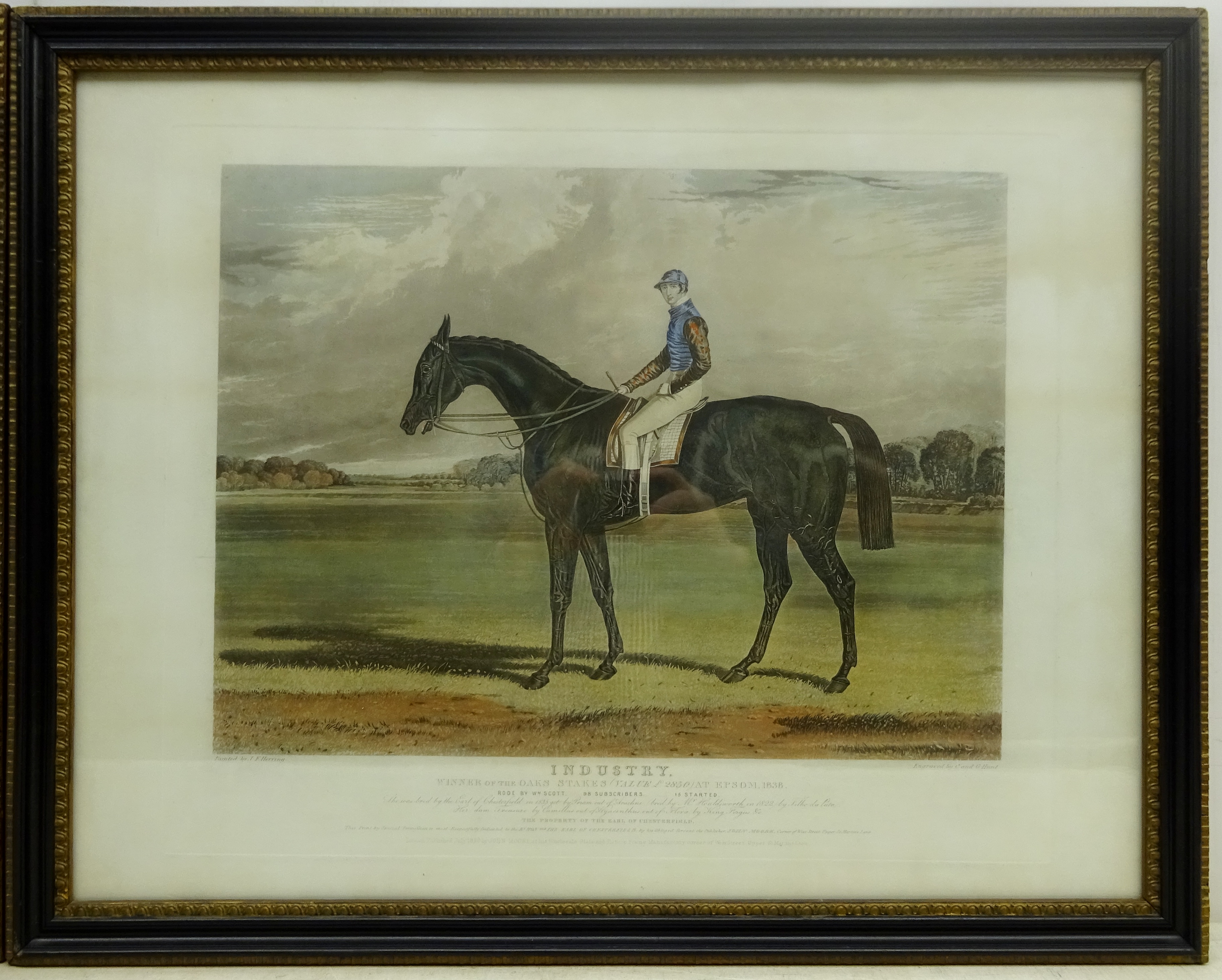 'Industry' and 'Meteor' - Race Horse Portraits, - Image 2 of 5