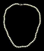 Cultred pearl necklace on silver clasp stamped 925 Condition Report <a