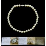 Single strand South Sea pearl necklace,