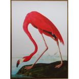 Portrait of a Flamingo, Hares and Lemon Tree,