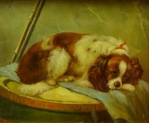 Portrait of a King Charles Spaniel, 20th century oil on canvas indistinctly signed 22.