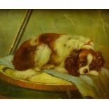 Portrait of a King Charles Spaniel, 20th century oil on canvas indistinctly signed 22.