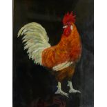 French School (20th century): Portrait of a Chicken,
